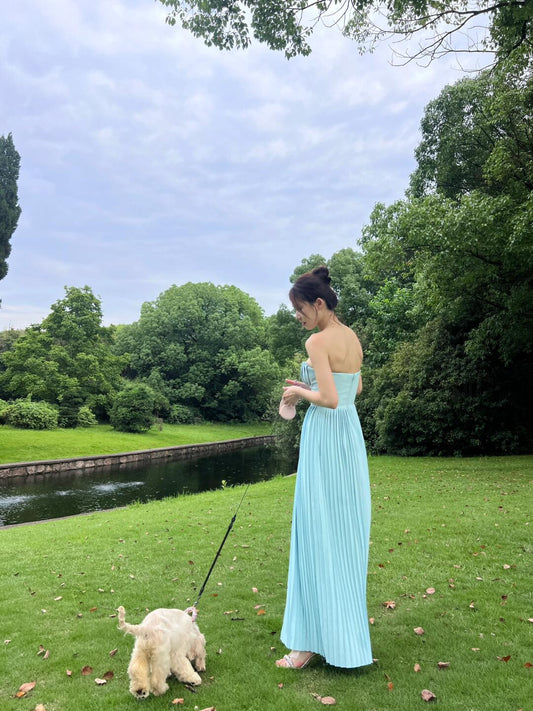 Elegante A-Linie Herzausschnitt Blau Chiffon Lange Ballkleider Partykleid 21. Geburtstag Outfits Abschlusskleider DH2549