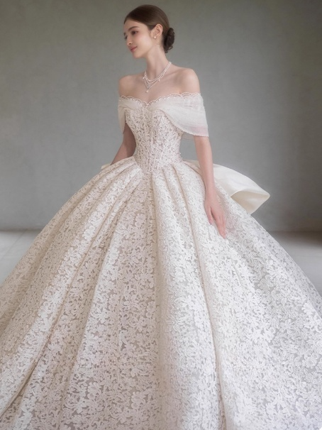 Timeless V-neck A-Line Long Wedding Dresses Tulle Appliques White Bridal Gowns Long Sleeves Bridal Dresses DP04216
