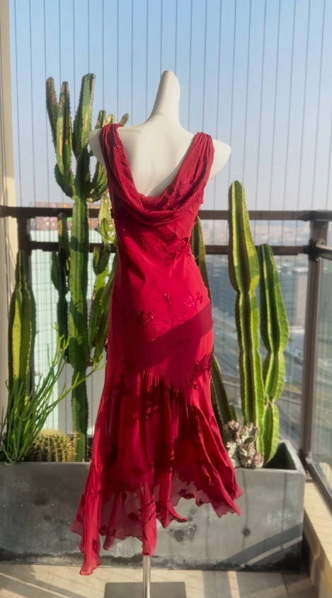Chic Red Prom Dress Chiffon Beaded Evening Dress Sheath Birthday Dress DP05188