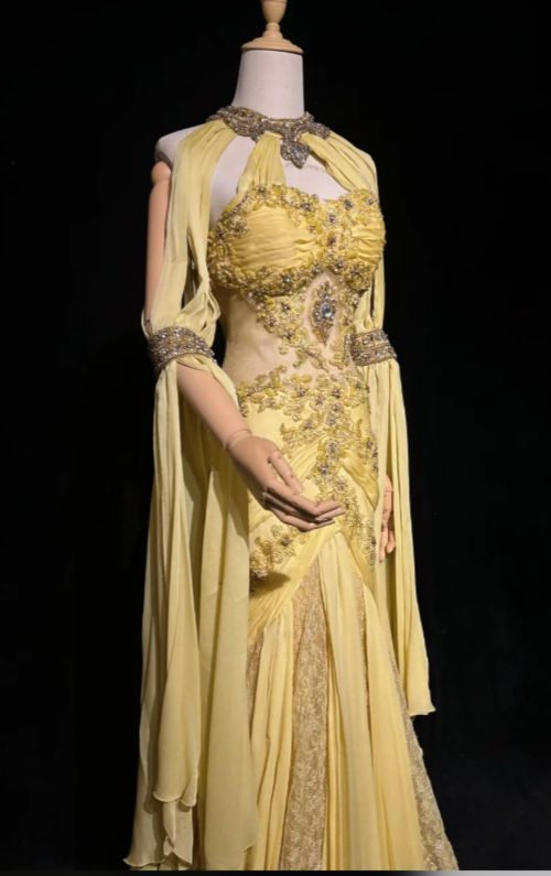 Pretty Sheath Beaded Chiffon Long Evening Dress Yellow Prom Dress DP08152