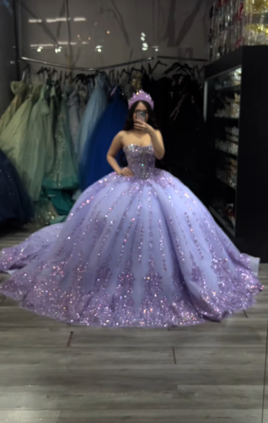 Gorgeous Ball Gown Quinceanera Dress Tulle Purple Sweet 16 Dress DP08170