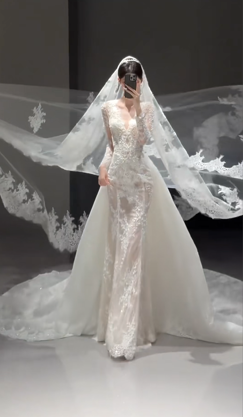 Modest V-neck Sheath Train Long Wedding Dresses Long Sleeve Lace Applique Bridal Dresses White Bridal Gowns DP3841