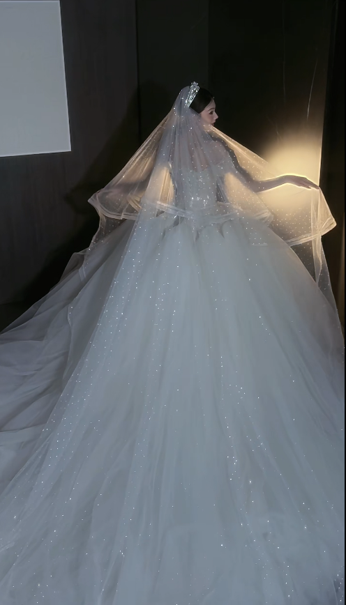 Simple Strapless Bridal Gown A-Line Tulle Wedding Dress White Bridal Dress DP08057