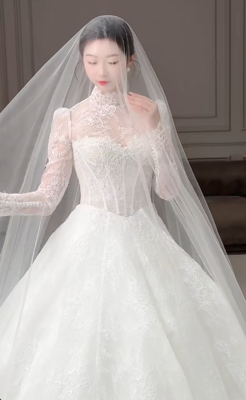 Modest Turtleneck Ball Gown Lace Applique Wedding Dress Elegant Long Sleeve Bridal Dress DP2968