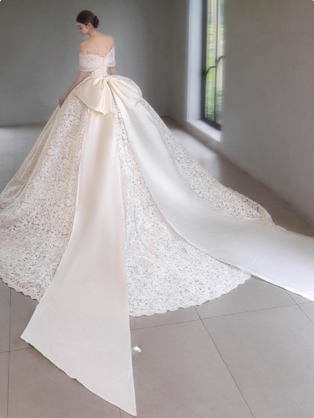 Timeless V-neck A-Line Long Wedding Dresses Tulle Appliques White Bridal Gowns Long Sleeves Bridal Dresses DP04216