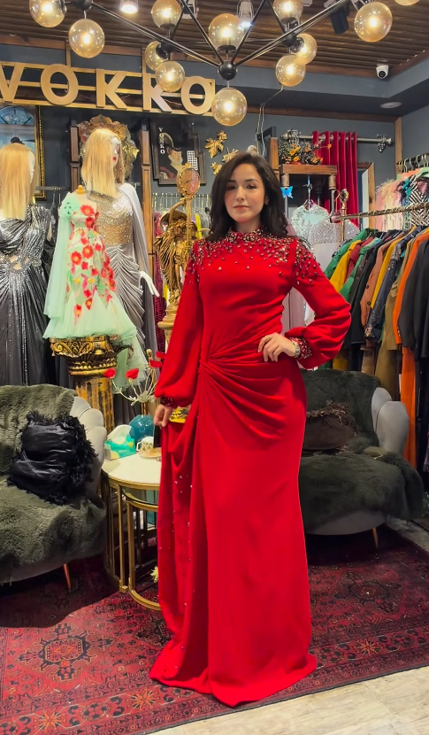 Elegant High Neck Sheath Long Prom Dresses Chiffon Red Evening Dresses Sleeves Mother of Bride Dresses DP04284