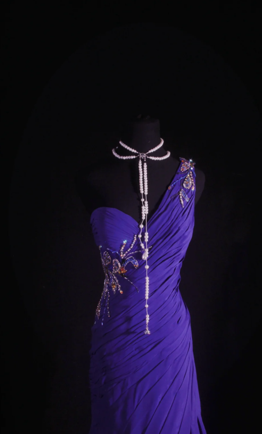 Puprle Sheath Long Prom Dresses Glam Beaded Chiffon Sleeveless Evening Dresses Purple Mother of Bride Dresses DP04332