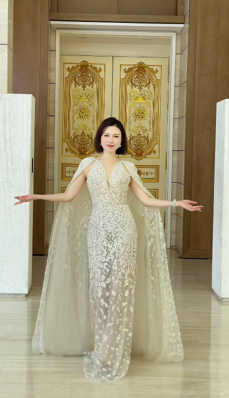 Light Champagne Sheath Long Prom Dresses Glam Tulle  Evening Dresses V-neck Mother of Bride Dresses DP04337