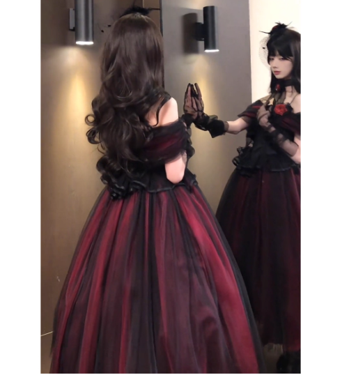 Vintage A-Line Burgundy Long Prom Dresses Tulle Lolita Dresses Sleeveless Birthday Dresses DP04499