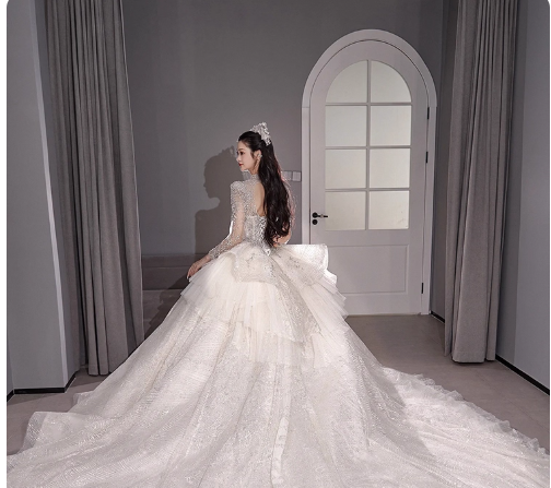 Chic A-Line Long Wedding Dresses Tulle  White Bridal Gowns Long Sleeves Bridal Dresses DP04595