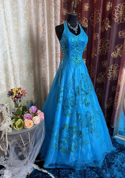 Chic A-Line Blue Prom Dress Tulle Sequins Sleeveless Evening Dress DP05075