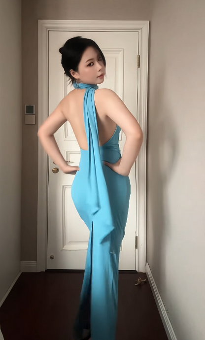 Chic Sheath Long Evening Dress Halter Spandex Party Dress Blue Prom Dress DP05331