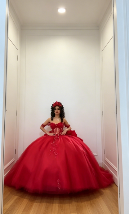 Chic Off-shoulder Ball Gown Birthday Dress Tulle Appliques Quinceanera Dress Burgundy Sweet 16 Dress  DP05559