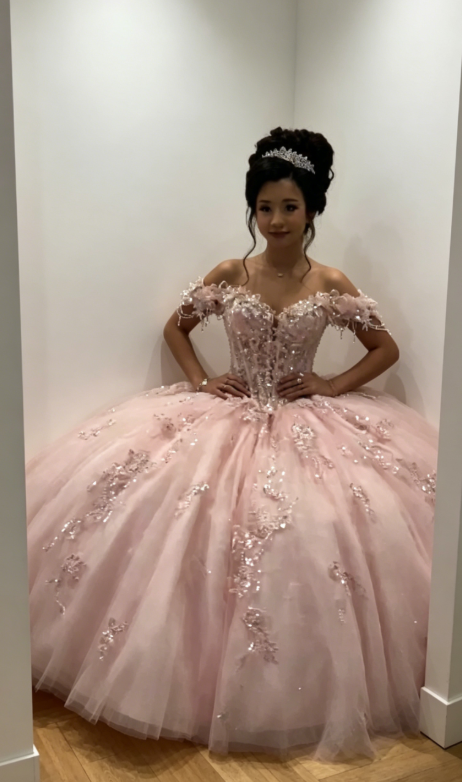 Chic Off-shoulder Ball Gown Birthday Dress  Tulle Beaded Quinceanera Dress Pink Sweet 16 Dress DP05560