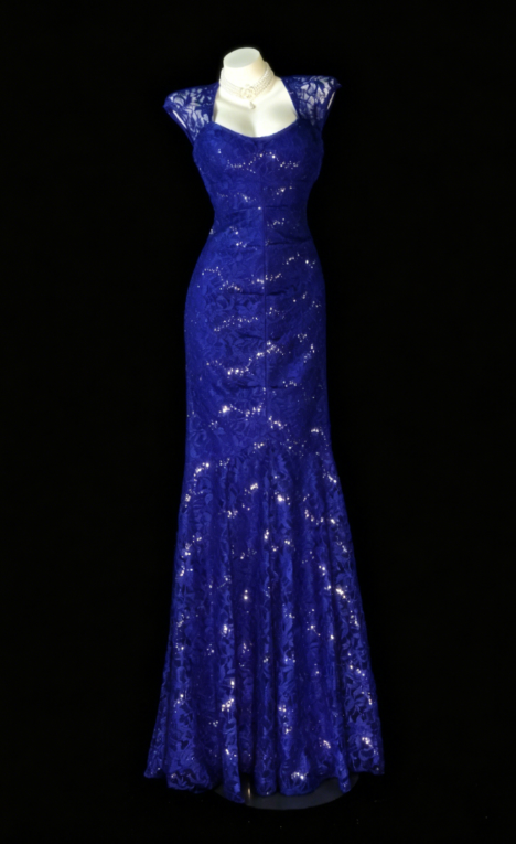 Gorgeous Sweetheart Sheath Lace Long Evening Dress Blue Prom Dress DP05669