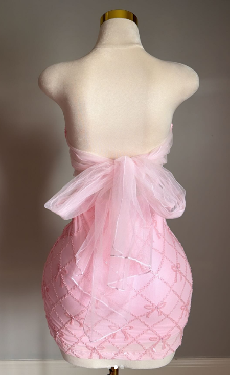 Glam Pink Birthday Dress, Strapless Sheath Cocktail Dress Beaded Tulle Homecoming Dress DP05782