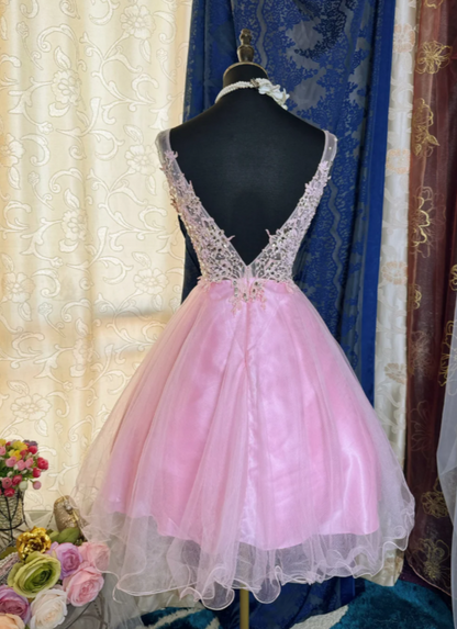Chic Pink Short Homecoming Dress V-neck A-Line Tulle Birthday Dress Sleeveless Party Dress  DP05859