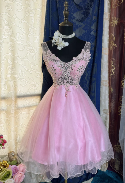 Chic Pink Short Homecoming Dress V-neck A-Line Tulle Birthday Dress Sleeveless Party Dress  DP05859