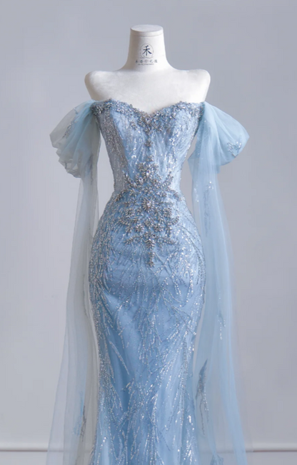 Chic Blue Evening Dress Off-shoulder Sheath Tulle Long Prom Dress  DP05978