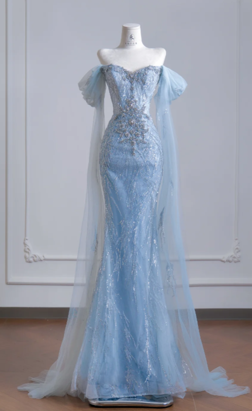 Chic Blue Evening Dress Off-shoulder Sheath Tulle Long Prom Dress  DP05978