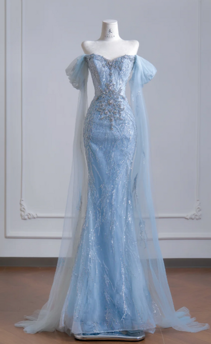 Chic Blue Evening Dress Off-shoulder Sheath Tulle Long Prom Dress  DP05978