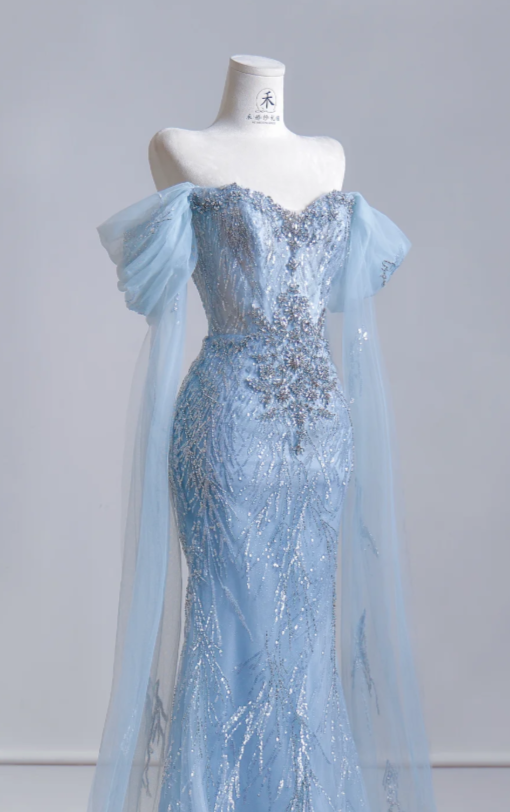 Chic Blue Evening Dress Off-shoulder Sheath Tulle Long Prom Dress  DP05978