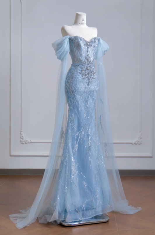 Chic Blue Evening Dress Off-shoulder Sheath Tulle Long Prom Dress  DP05978