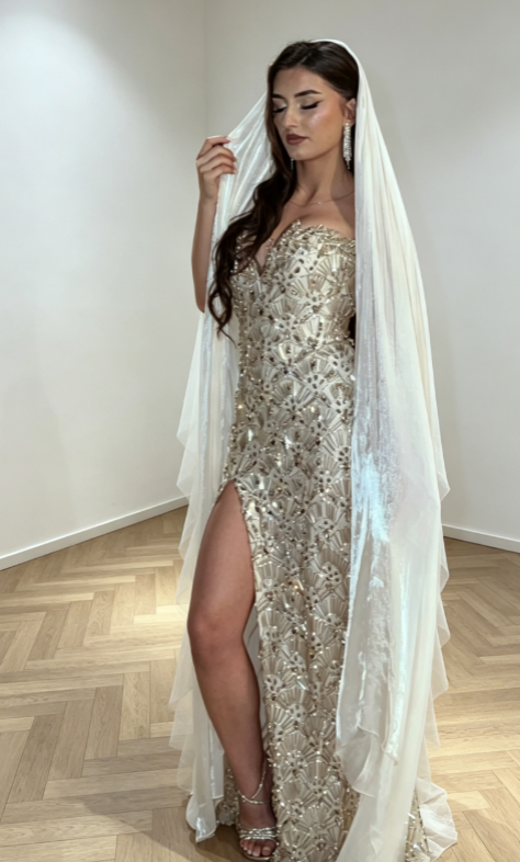Chic Chamapagne Long Evening Dress Tulle Beaded Sheath Formal Dress DP06150