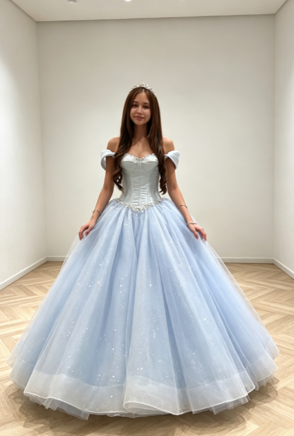 Glam Blue Prom Dress A-Line Dress for Party Tulle Evening Dress DP06326