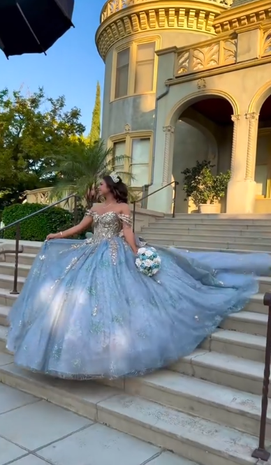 Gorgeous Blue Ball Gown Quinceanera Dress Tulle Sweet 16 Dress DP07070