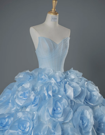 Gorgeous Blue Ball Gown Quinceanera Dress Tulle Sweet 16 Dress DP07071
