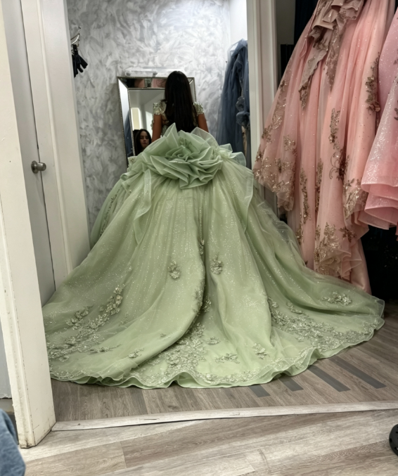 Fairy Green Ball Gown Sweet 16 Dress Tulle Appliques Quineceanera Dress DP07087