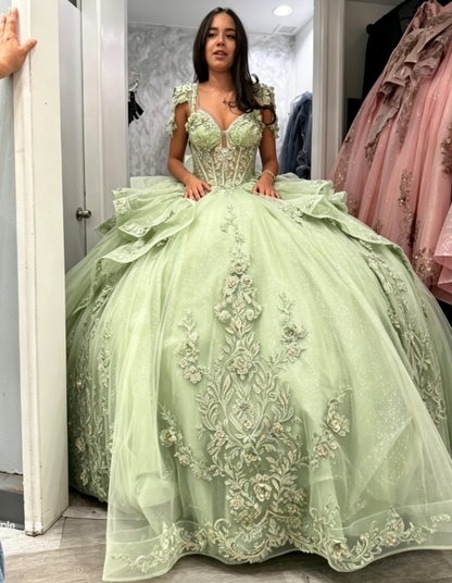 Fairy Green Ball Gown Sweet 16 Dress Tulle Appliques Quineceanera Dress DP07087