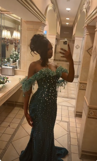 Elegant Dark Green Long Prom Dress Sheath Tulle Beaded Evening Dress DP07101