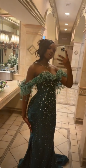 Elegant Dark Green Long Prom Dress Sheath Tulle Beaded Evening Dress DP07101