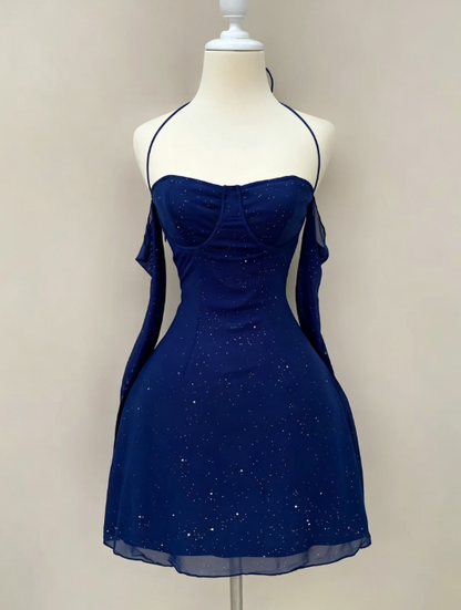 Beautiful  Blue Short Homecoming Dress Sheath Chiffon Birthday Dress DP07188