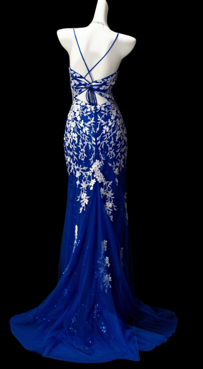 Fairy Sheath Tulle Applique Long Prom Dress Blue Evening Dress DP07445