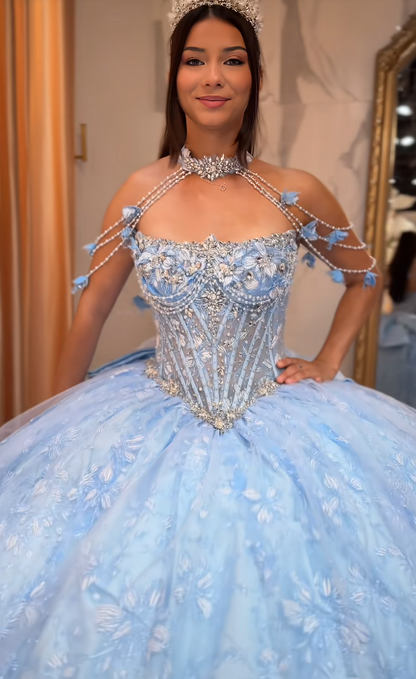 Gorgeous Blue Ball Gown Quinceanera Dress Tulle Applique Sweet 16 Dress DP07453