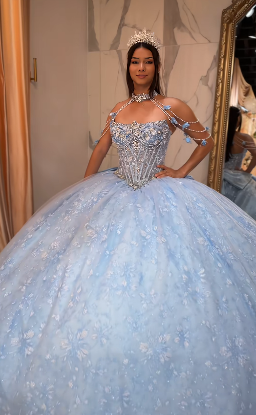 Gorgeous Blue Ball Gown Quinceanera Dress Tulle Applique Sweet 16 Dress DP07453