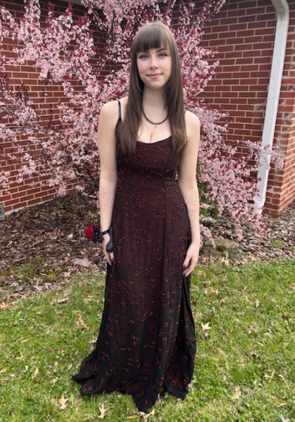 Chic Brown Prom Dress A-Line Tulle Long Evening Dress DP07645