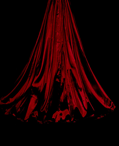 Chic Red Prom Dress A-line Satin Long Evening Dress DP07688