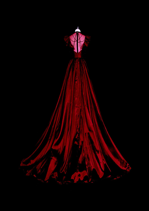 Chic Red Prom Dress A-line Satin Long Evening Dress DP07688