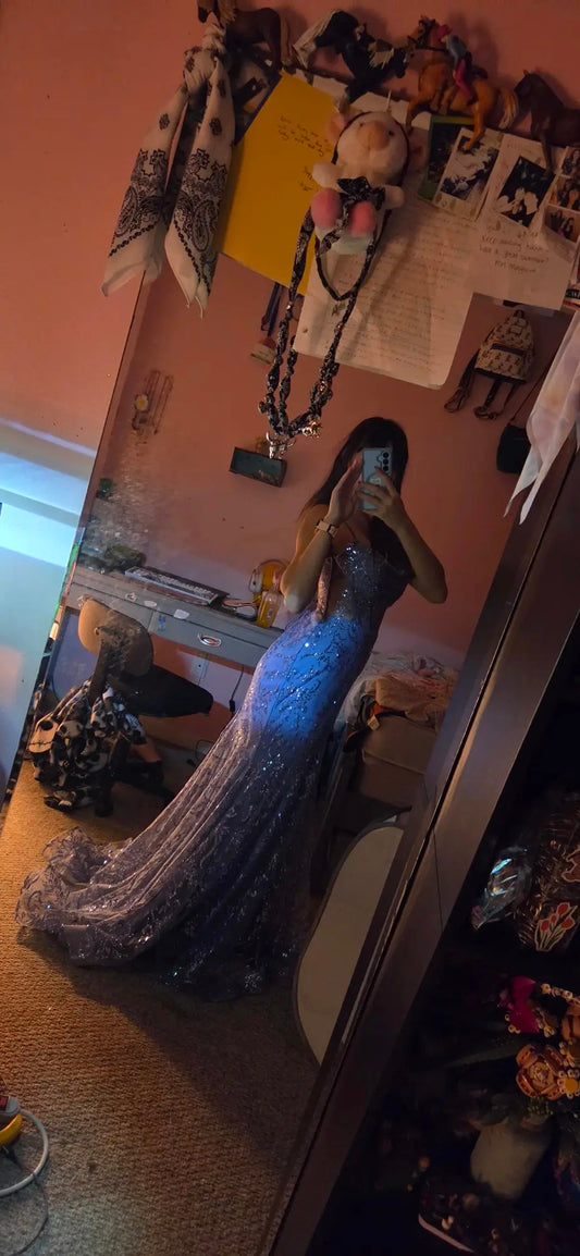 Gorgeous Purple Prom Dress Sheath Tulle Sequins Long Evening Dress DP07771