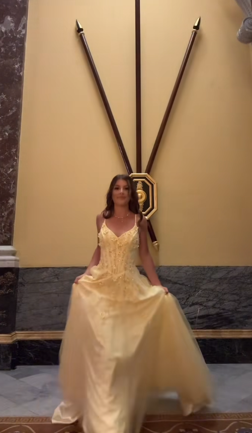 Pretty Yellow Prom Dress Sheath Tulle Appplique Long Evening Dress DP07898