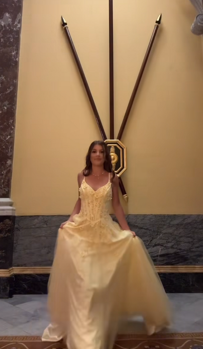 Pretty Yellow Prom Dress Sheath Tulle Appplique Long Evening Dress DP07898