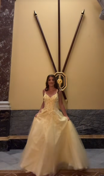Pretty Yellow Prom Dress Sheath Tulle Appplique Long Evening Dress DP07898