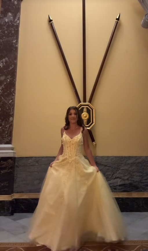 Pretty Yellow Prom Dress Sheath Tulle Appplique Long Evening Dress DP07898