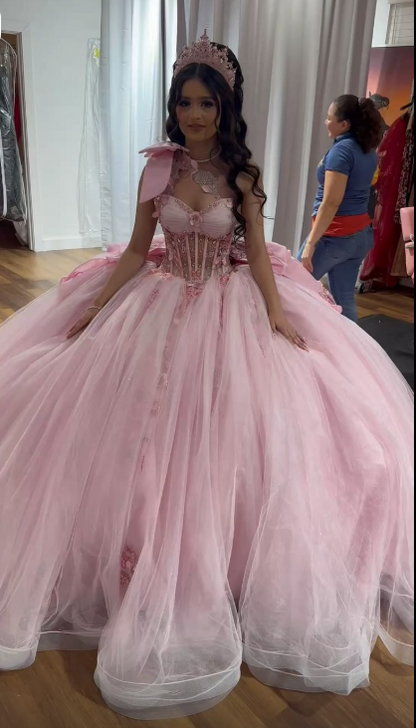 Gorgeous A-Line Sweet 16 Dress Tulle Long Evening Dress Pink Prom Dress DP08055