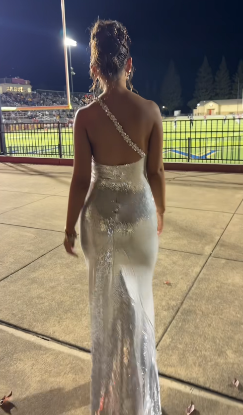 Pretty Silver Prom Dress Sheath Sequins Long Evening Dress DP08114
