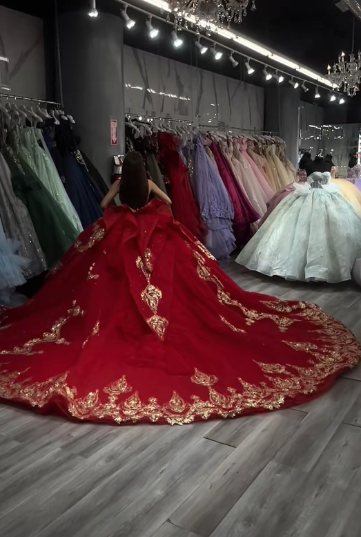 Gorgeous Ball Gown Quinceanera Dress Tulle Red Sweet 16 Dress  DP08169